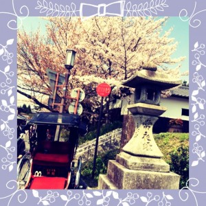 京都神社