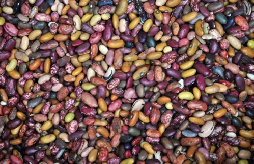 beans 