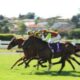 競馬場はアミューズメント施設に生まれ変わっている！女子ひとりでも楽しめる初心者ガイド